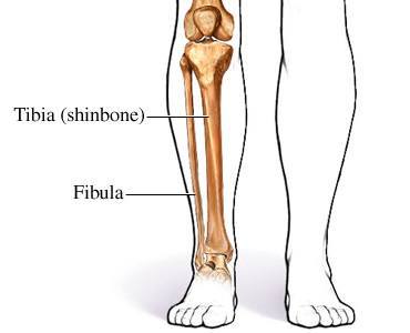 Tibial Length Test - Project & Report